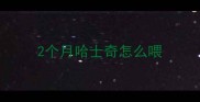 2个月哈士奇怎么喂