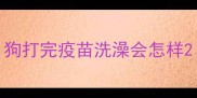 狗打完疫苗洗澡会怎样