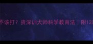 泰迪犯错该不该打资深训犬师科学教育法附120天训练全攻略