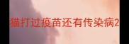 猫打过疫苗还有传染病