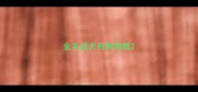 金毛成犬自制狗粮