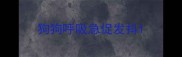 狗狗呼吸急促发抖