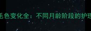 黑狗换毛期毛色变化全不同月龄阶段的护理与应对方法