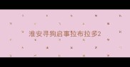 淮安寻狗启事拉布拉多