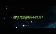 边牧对哪种药不好用