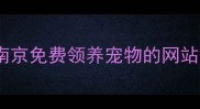 南京免费领养宠物的网站