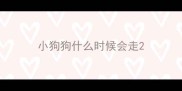 小狗狗什么时候会走