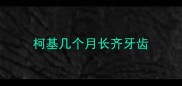 柯基几个月长齐牙齿