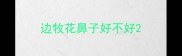 边牧花鼻子好不好