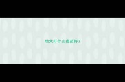 幼犬打什么疫苗好