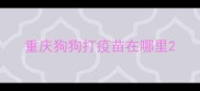 重庆狗狗打疫苗在哪里