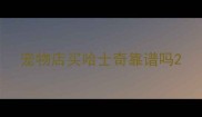 宠物店买哈士奇靠谱吗