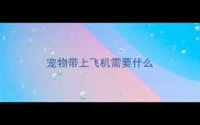 宠物带上飞机需要什么