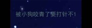 被小狗咬青了要打针不