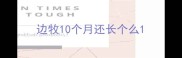 边牧10个月还长个么