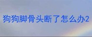 狗狗脚骨头断了怎么办