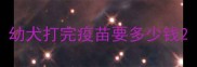 幼犬打完疫苗要多少钱