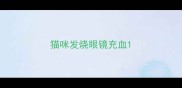 猫咪发烧眼镜充血