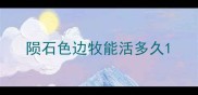陨石色边牧能活多久