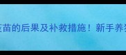 狗狗从小没打疫苗的后果及补救措施新手养狗必看避坑指南