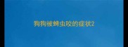 狗狗被蜱虫咬的症状