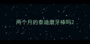 两个月的泰迪磨牙棒吗