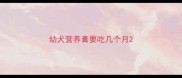 幼犬营养膏要吃几个月