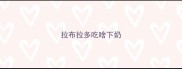 拉布拉多吃啥下奶