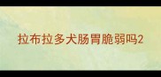 拉布拉多犬肠胃脆弱吗