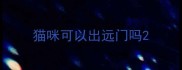 猫咪可以出远门吗