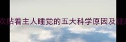 狗狗喜欢贴着主人睡觉的五大科学原因及健康隐患