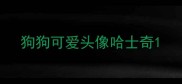 狗狗可爱头像哈士奇