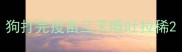 狗打完疫苗三天呕吐拉稀