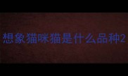 想象猫咪猫是什么品种