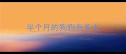 半个月的狗狗有多大