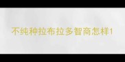 不纯种拉布拉多智商怎样