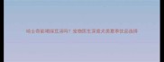 哈士奇能喝绿豆汤吗宠物医生深度犬类夏季饮品选择