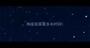 狗疫苗需要多长时间