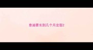 泰迪要长到几个月定型