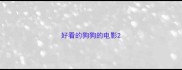 好看的狗狗的电影