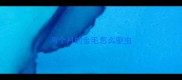 两个月的金毛怎么驱虫