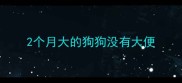 2个月大的狗狗没有大便