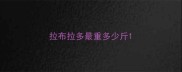 拉布拉多最重多少斤