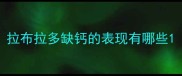 拉布拉多缺钙的表现有哪些