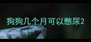 狗狗几个月可以憋尿