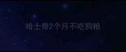 哈士奇2个月不吃狗粮