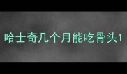哈士奇几个月能吃骨头