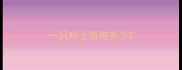 一只哈士奇狗多少