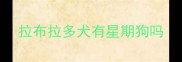拉布拉多犬有星期狗吗