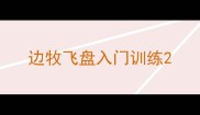 边牧飞盘入门训练
